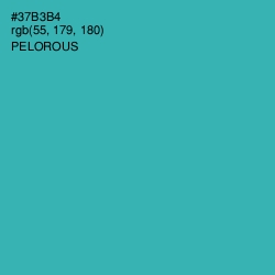 #37B3B4 - Pelorous Color Image