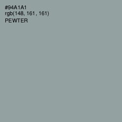 #94A1A1 - Pewter Color Image