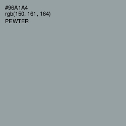 #96A1A4 - Pewter Color Image
