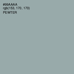 #99AAAA - Pewter Color Image