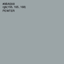 #9BA5A8 - Pewter Color Image