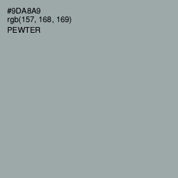 #9DA8A9 - Pewter Color Image