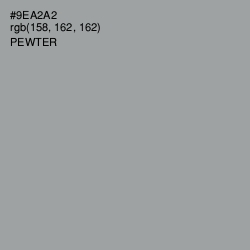 #9EA2A2 - Pewter Color Image