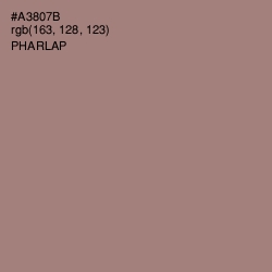 #A3807B - Pharlap Color Image