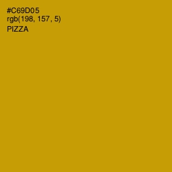 #C69D05 - Pizza Color Image
