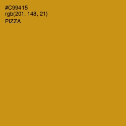 #C99415 - Pizza Color Image