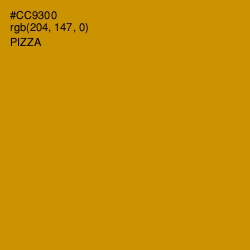 #CC9300 - Pizza Color Image