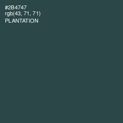 #2B4747 - Plantation Color Image