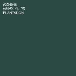 #2D4946 - Plantation Color Image
