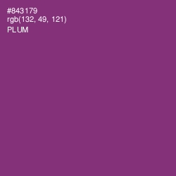 #843179 - Plum Color Image