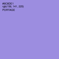 #9C8DE1 - Portage Color Image