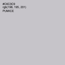 #C6C3C9 - Pumice Color Image