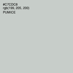 #C7CDC8 - Pumice Color Image