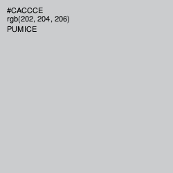 #CACCCE - Pumice Color Image
