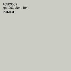 #CBCCC2 - Pumice Color Image