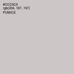 #CCC5C5 - Pumice Color Image