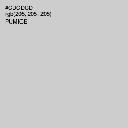 #CDCDCD - Pumice Color Image