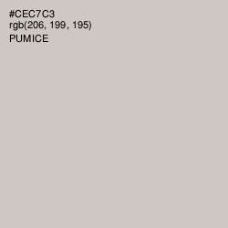#CEC7C3 - Pumice Color Image