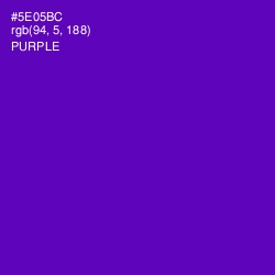 #5E05BC - Purple Color Image