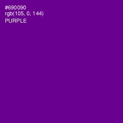 #690090 - Purple Color Image