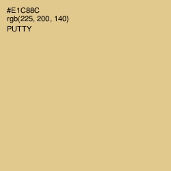 #E1C88C - Putty Color Image