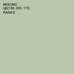 #B9C8AC - Rainee Color Image
