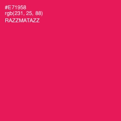 #E71958 - Razzmatazz Color Image