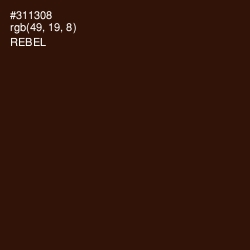 #311308 - Rebel Color Image