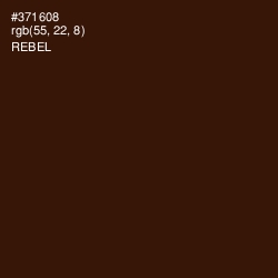 #371608 - Rebel Color Image