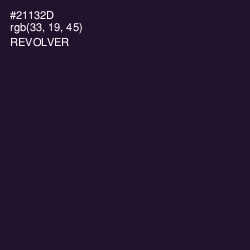 #21132D - Revolver Color Image