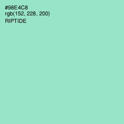 #98E4C8 - Riptide Color Image