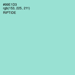 #99E1D3 - Riptide Color Image