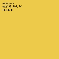 #EECA4A - Ronchi Color Image