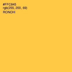 #FFC845 - Ronchi Color Image