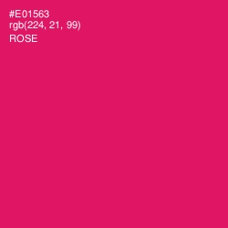 #E01563 - Rose Color Image