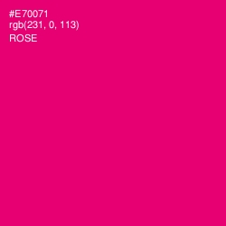 #E70071 - Rose Color Image