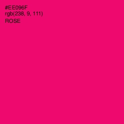 #EE096F - Rose Color Image