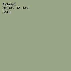 #99A585 - Sage Color Image
