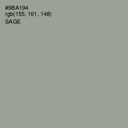 #9BA194 - Sage Color Image