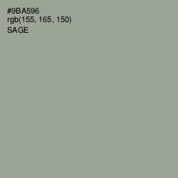 #9BA596 - Sage Color Image