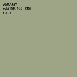 #9EA587 - Sage Color Image