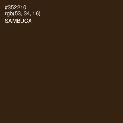 #352210 - Sambuca Color Image