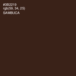 #3B2219 - Sambuca Color Image