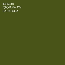 #495419 - Saratoga Color Image