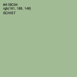 #A1BC94 - Schist Color Image