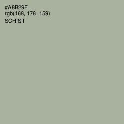 #A8B29F - Schist Color Image