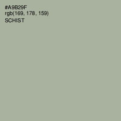 #A9B29F - Schist Color Image
