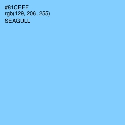 #81CEFF - Seagull Color Image