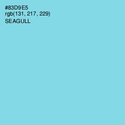 #83D9E5 - Seagull Color Image