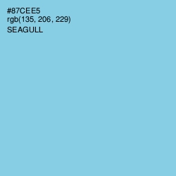 #87CEE5 - Seagull Color Image